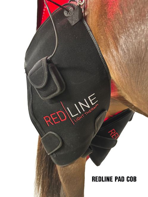 Hovedbilde 2 stk. Redline Pad Cob